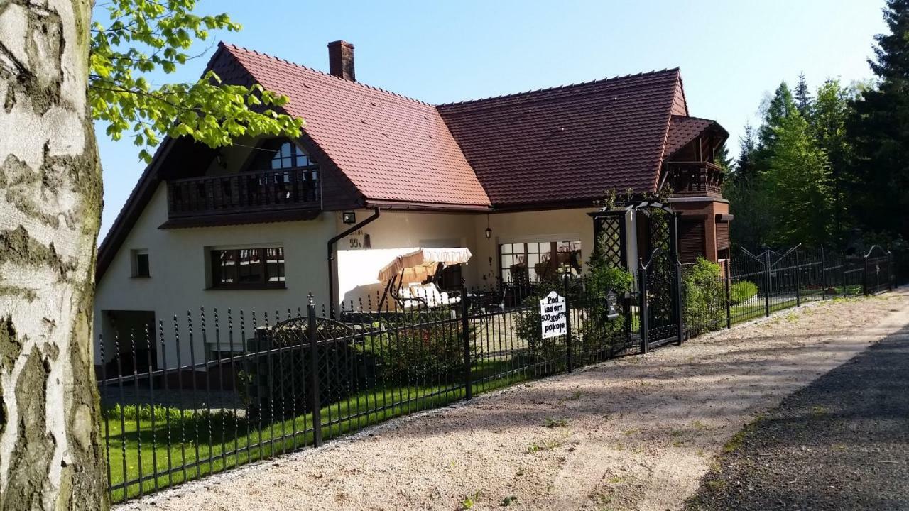Willa Gorska Карпач Екстер'єр фото